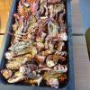 Bogavante