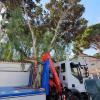 Camión pluma también hace el porte de Residuos 4