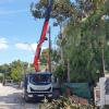 Poda utilizado pluma por falta de espacio y cableadoeléctrico 2