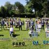 Entrega de premios Faro da Escola en época de COVID