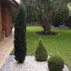 Jardinería, parterre