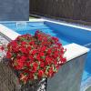 Jardinería