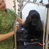 Puroperro