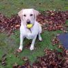 Sheila con actividades de pelota