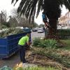 Las Dos Flores Jardineria Y Servicios Integrales