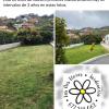 Las Dos Flores Jardineria Y Servicios Integrales