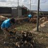 Las Dos Flores Jardineria Y Servicios Integrales