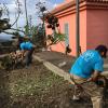 Las Dos Flores Jardineria Y Servicios Integrales