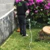 Las Dos Flores Jardineria Y Servicios Integrales