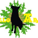 Beloaran Centro Canino Beloaran Centro Canino