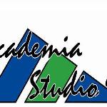 Academia Studio Academia Studio