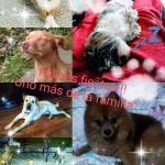Beatriz S. Beatriz S.