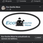 Eco Gochis More
