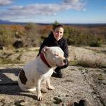 Adiestramiento Canino Adiestramiento Canino
