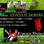 Francis Vivier Francis Vivier