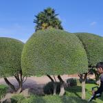 Jardineria Y Mantenimiento De Piscinas