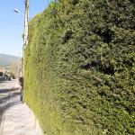 Jardin Mil Obras Jardin Mil Obras