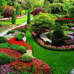 Jardineria Lleida Jardineria Lleida