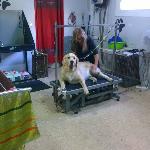 Marina Recasens Lizaso Marina Recasens Lizaso
