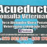 Consulta Veterinaria Acueducto Jose Viera