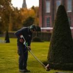 Servicios De Jardinería Pamplona