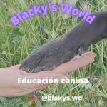 Blackys World