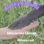 Blackys World  Olga