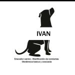 Rehabilitación Canina Rehabilitación Canina