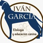 Etólogo Canino En Madrid Iván García