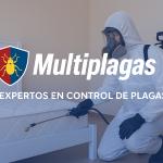 Multiplagas Multiplagas
