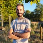 El Árbol Del Desierto El Árbol Del Desierto