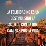 Yolany Palma Yolany Palma