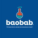 Baobab Marketing El Laboratorio Donde Las Empresas Crecen