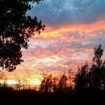 Rocío Rodriguez Rocío Rodriguez