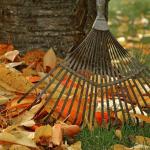 Verd Natural Jardinería