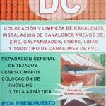 Tejados Y Canalones Dc