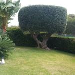 Jardinerosh Jardinerosh