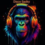 Disco Saoko Disco Saoko