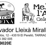 Mas Celestí Mas Celestí
