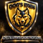 Adiestramiento Canino Dogs Eden