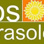 Los 8 Girasoles Los 8 Girasoles
