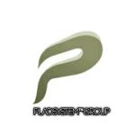 Pladsystem  Group