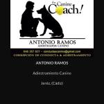 Adiestramiento  Canino Y Modificación De Conductas