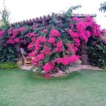 Hm Jardinería Jairo Pérez Hm Jardinería Jairo Pérez