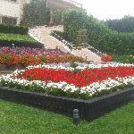 Jardins Xavi Jardins Xavi