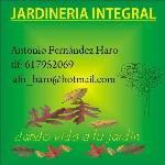 Antonio Fernandez Antonio Fernandez