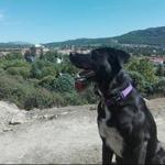 Luki Cabreiroa Luki Cabreiroa