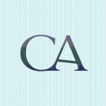 Construccions Alfaro Construccions Alfaro