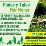 Podas Y Talas Mar Menor Podas Y Talas Mar Menor