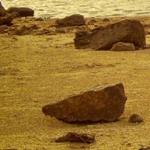 Sara Cruz Alvaro Sara Cruz Alvaro